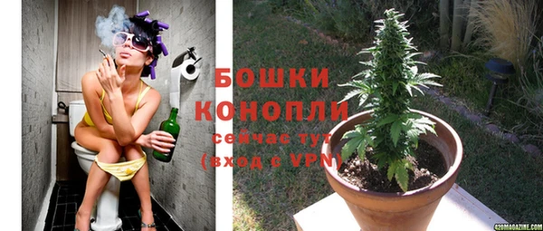 a pvp Коряжма