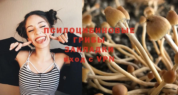 a pvp Коряжма