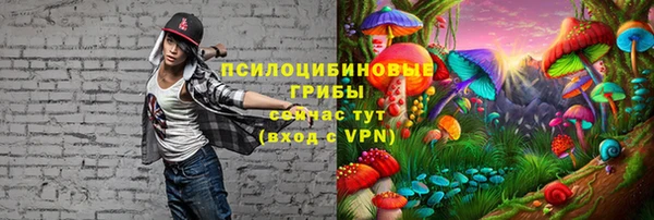 молекула духа Корсаков