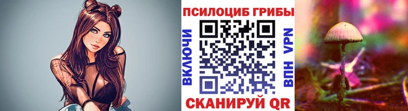 Купить закладки  Куса  Псилоцибиновые грибы мицелий 