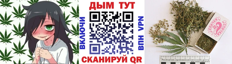 Купить где  Куса  Шишки марихуана сатива 